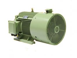YVFE3系列   高效變頻調(diào)速電機(jī)